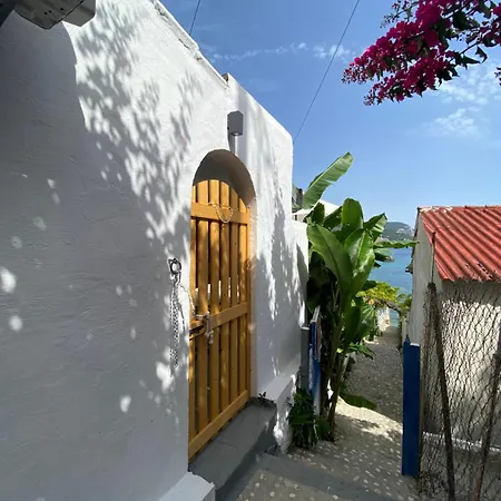 Vivaria House Hébergement de vacances *
